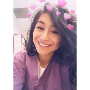 Meet your Posher, Daisy